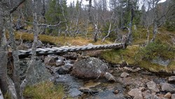 Fjellelva bro