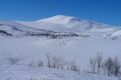Storfjellet