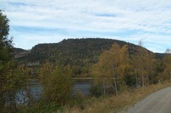 Gopletjernåsen