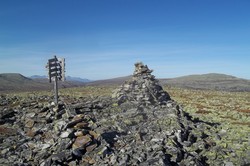 Skarvvola