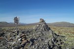 Skarvvola
