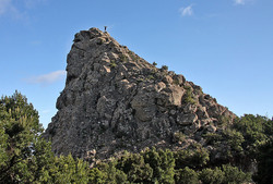 Roque Carmona