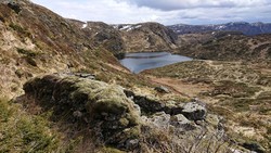 Høgelien (ruin)