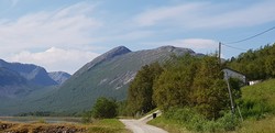 Grønnlikollen