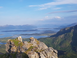 Finngamheia