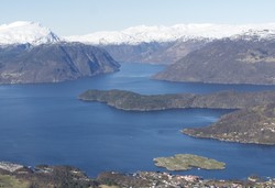Søljenibba
