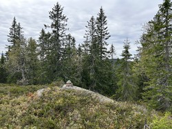 Storrsjøhøgda