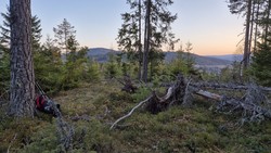 Tegemyråsen