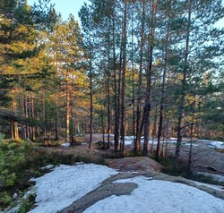 Harafjellet