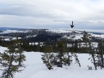 Desetknubben sørtoppen