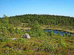 Kaktjernsberget