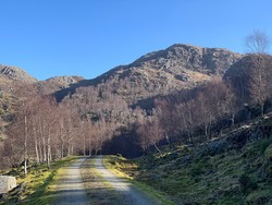 Skogafjellet