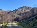 Skogafjellet