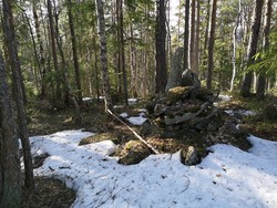 Risåsknappen