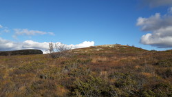 Lauvlihøgda