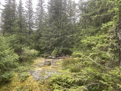 Lundbergkollen