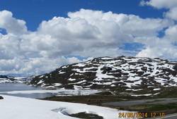 Gauthellernuten