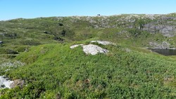 Midtfjellet