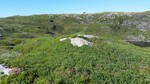 Midtfjellet