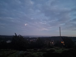 Hårkollen