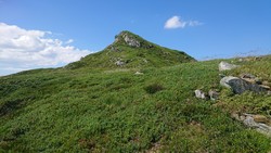 Tjellenipa