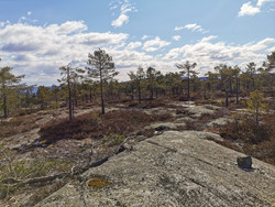 Høymyrfjell