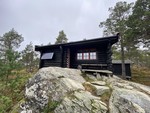 Fjellhov
