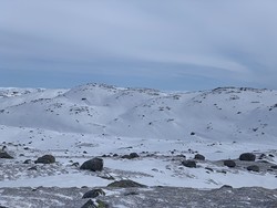 Signesfjell