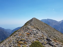 Psari