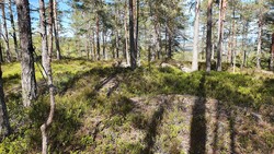 Vassmyråsen