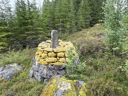 Riksrøys 99