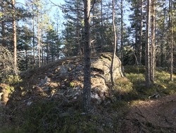 Vanakleiv