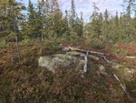 Storhaugen trig.punkt