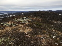 Langfjellet