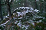 Øst for Bårsrudtjernet