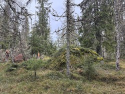 Finnerudsæterhøgda