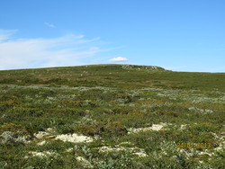 Brennfjellet Liomseter