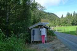Treungvegen