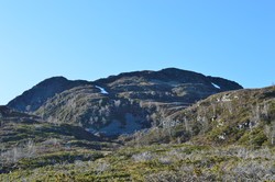 Dalanuten