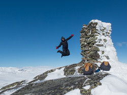 Vardenuten