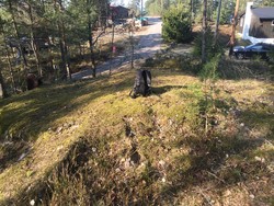 Køyakollen