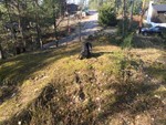 Køyakollen