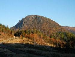 Åsbøsnytå