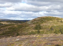 Høgelihovda