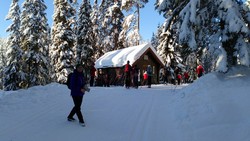 Ringdalskoia