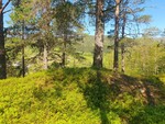 Opdølshaugen