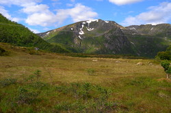 Kvålkvanntotinden