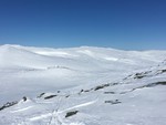 Bolhovdskarvet