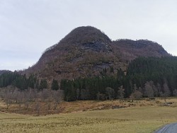 Storebauten