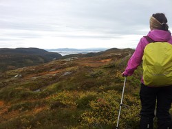 Søre Blankheia